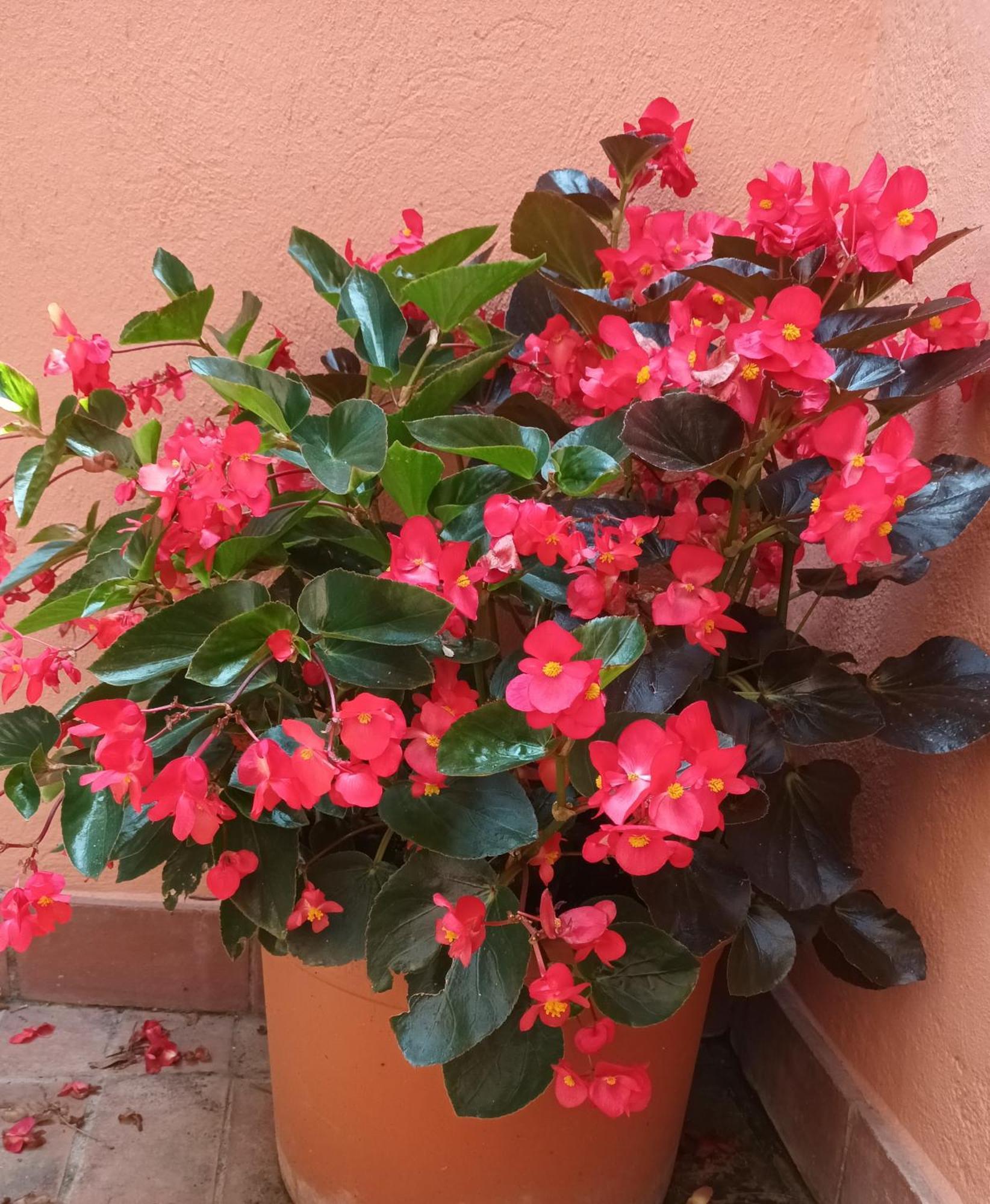 B&B Mar Y Montana Privado No Cocina Orrius Zewnętrze zdjęcie